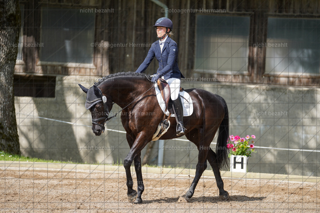 20240519-FAH04774 | Turnierbilder Niederseeon 2024, Vielseitigkeitsdressur, Reitsportbilder aus dem Landkreit Ebersberg, Gut Steinsee, RC Steinsee, Fotoagentur Herrmann