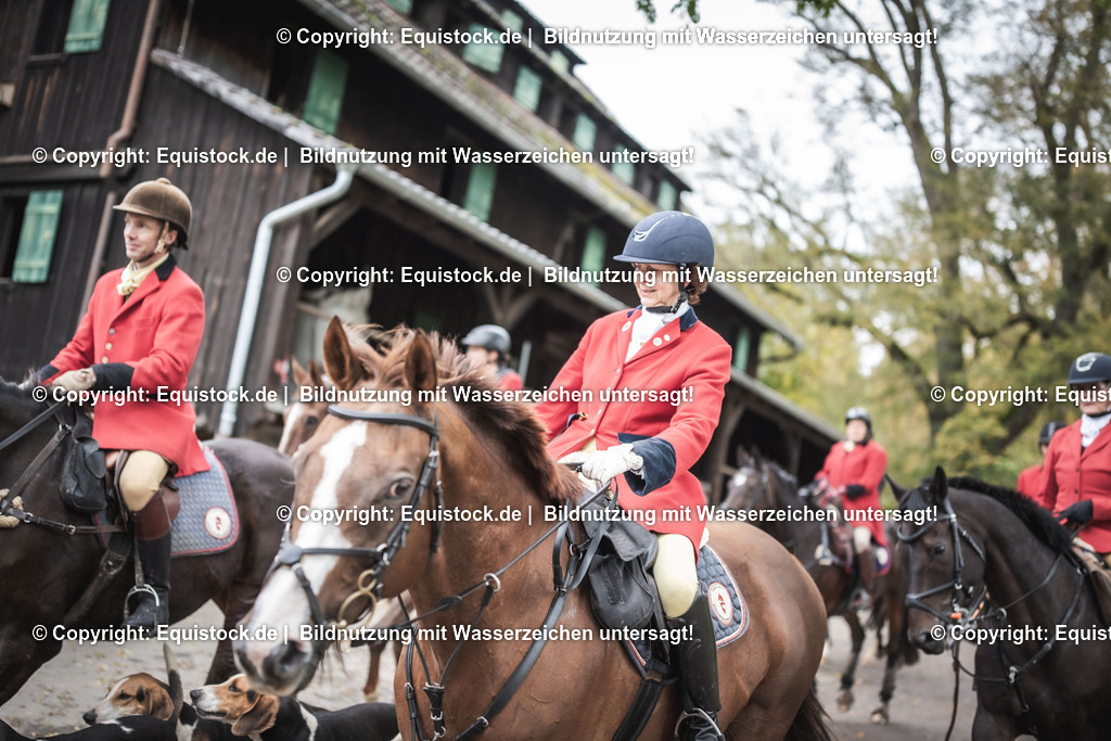 20241013_Jagd-Marbach_0483 | Foto: Thomas Hartig