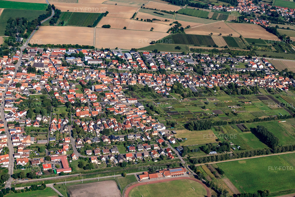 Luftbild: untere Hauptstr in Steinfeld im Bundesland Rheinland-Pfalz in Deutschland. Foto: IMG_21044.jpg vom 06.09.2009 durch Werner Riehm/FLY-FOTO.de