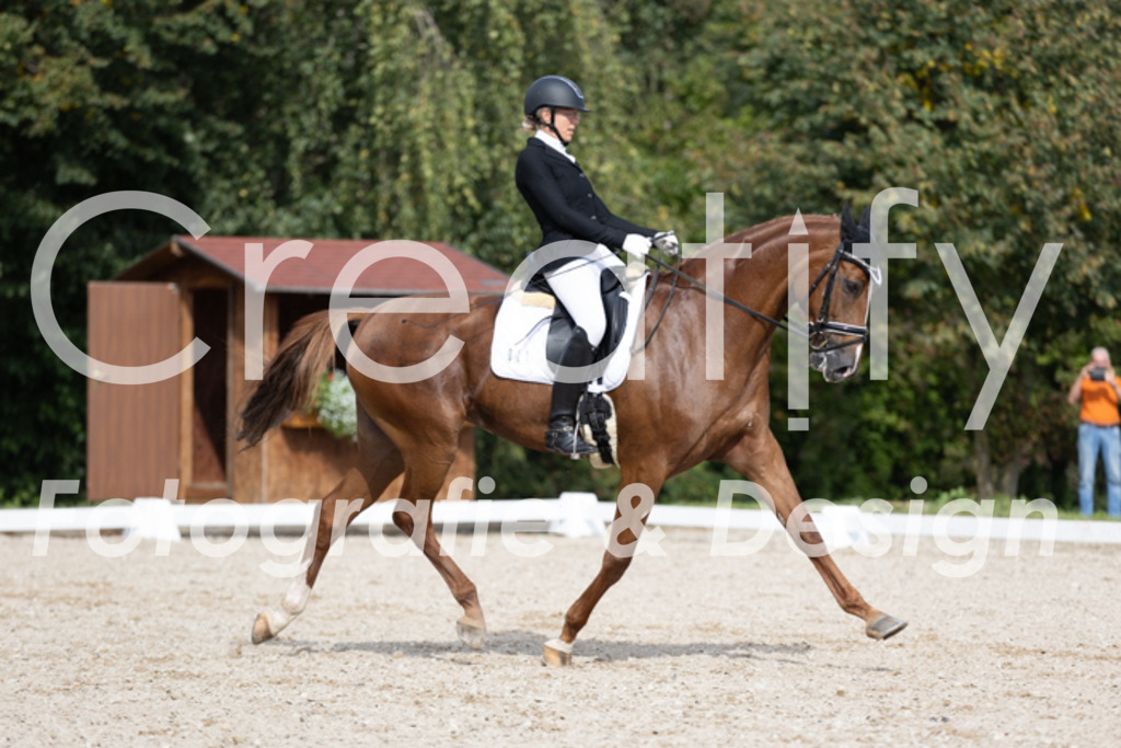 IMG_4192 | Creatify Fotografie