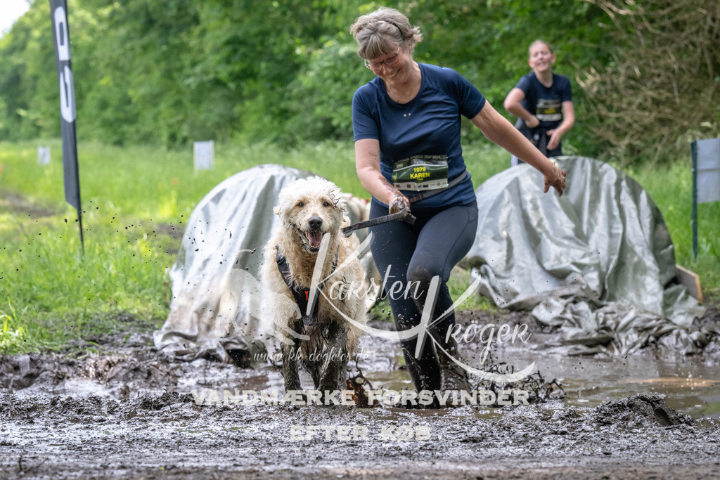 1250_ZZ93836 | kk-dogfotos