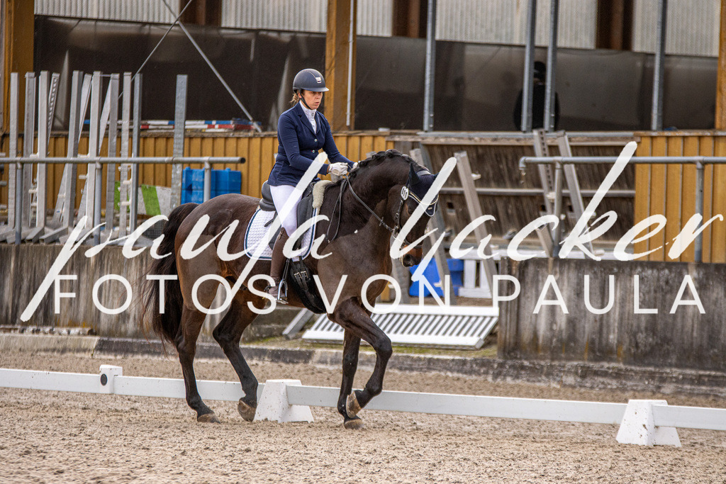 IMG_3109 | Erleben Sie dynamische Sport- und emotionale Tierfotografie in Süddeutschland mit Fotos von Paula. Spezialisiert auf Pferde- und Hundefotografie sowie Sportevents. Kontaktieren Sie mich für einzigartige und ausdrucksstarke Bilder Ihrer besonderen Momente.