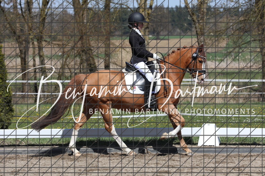 AZ2A4851 | Benjamin Bartmann Photomoments