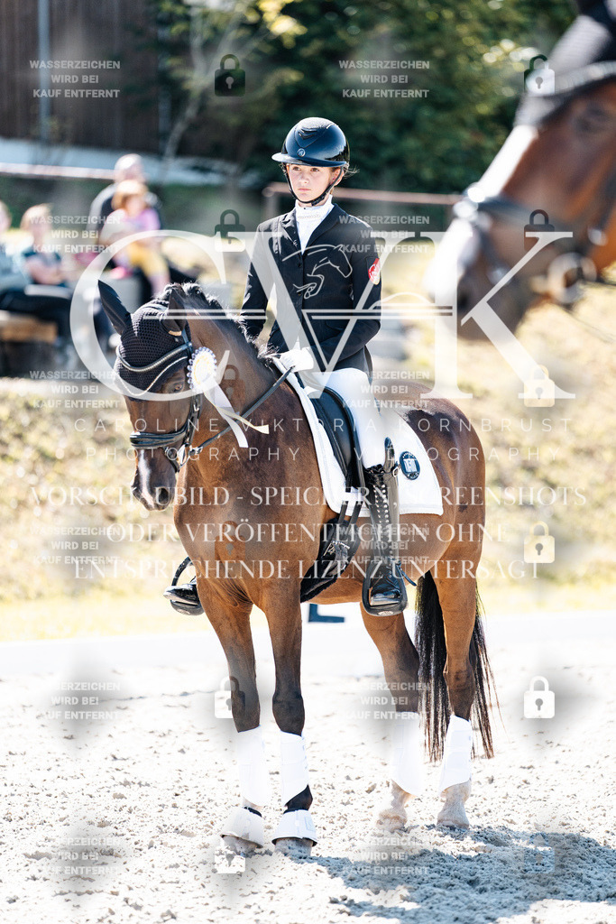 CK909938 | Turnierfotografie Pferdefotografie Trier Rheinland-Pfalz Pferdesport Reitsport Tierfotografie Sportfotografie Pferdevideo Pferdevideografie Equestrianvideography equestrianphotography  - Realisiert mit Pictrs.com