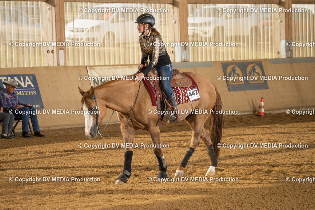 LAU01912 | dv-media-shop - Realisiert mit Pictrs.com