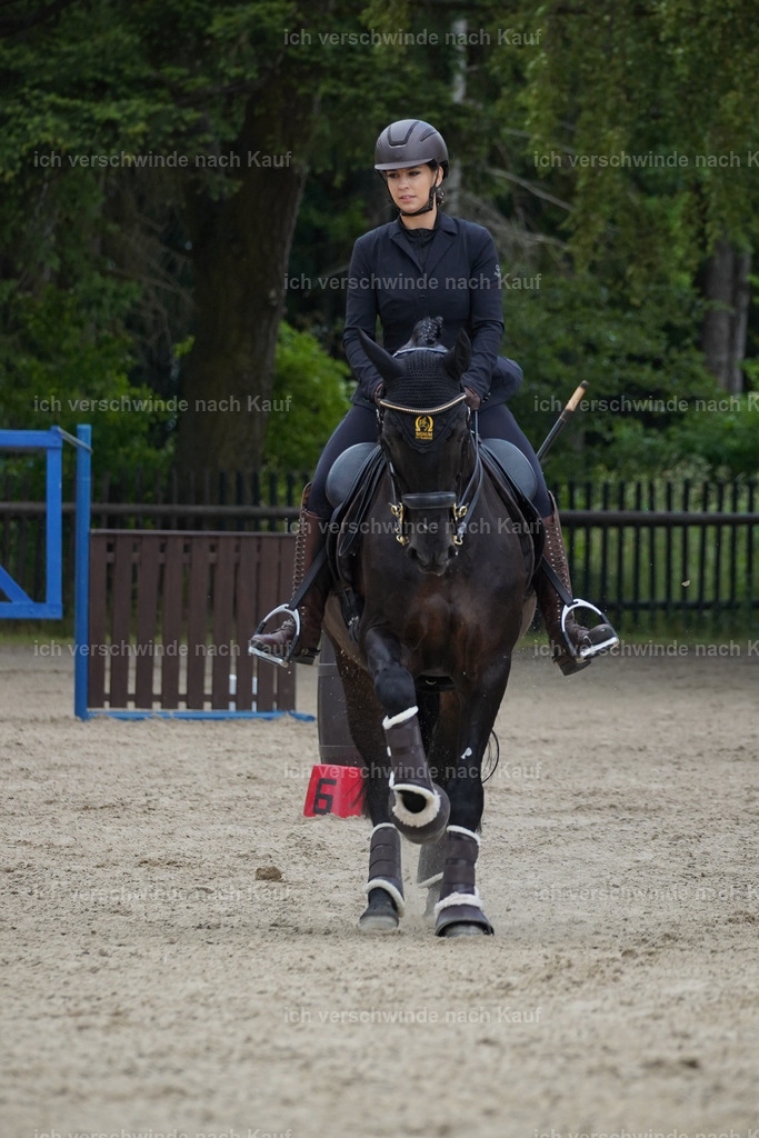 KlasseL_Lucie (2) | working equitationturnier fotograf videograf stoibphotography marixx film working equitation deutschland reitsport turnierfotografie eventfotografie equestrian events