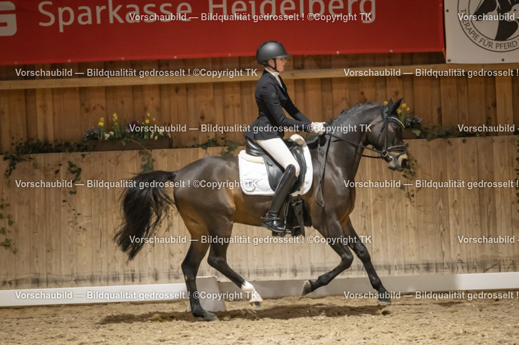 _D5A0842 | Emotionale Pferde- & People-Fotografie rund um Heidelberg, Leimen & Umgebung. Natürliche Fotos von Pferd, Mensch & Familie. Jetzt Termin sichern!