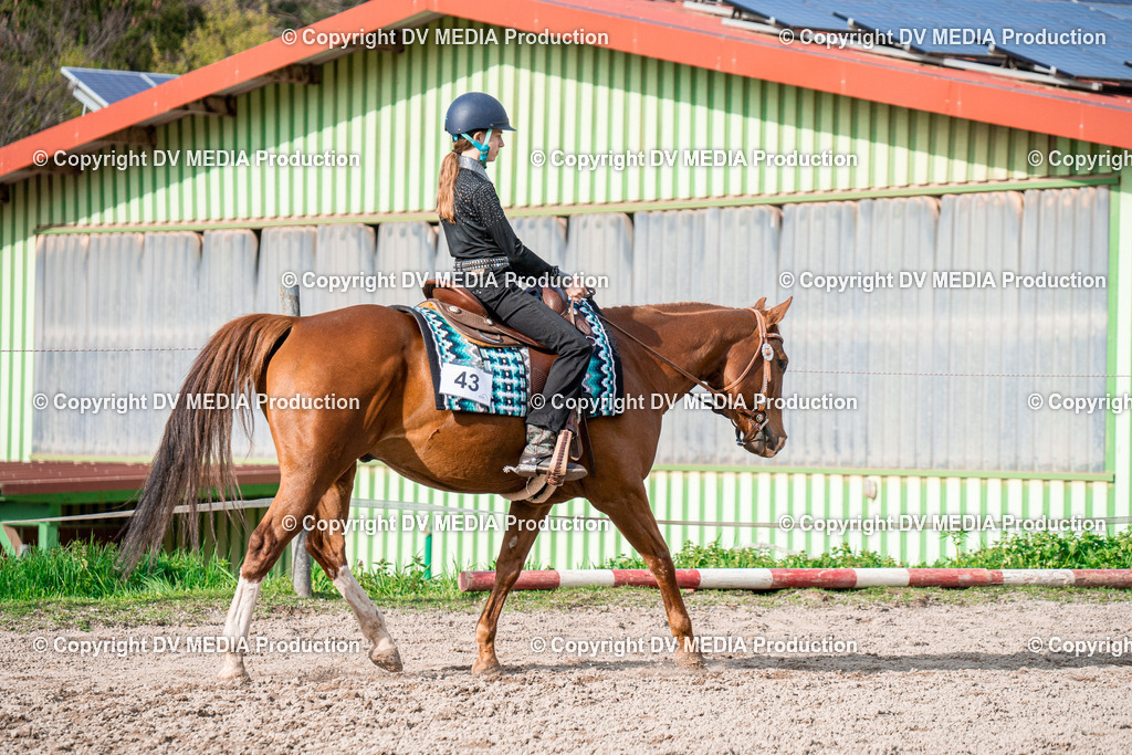 BAL02831 | dv-media-shop - Realisiert mit Pictrs.com