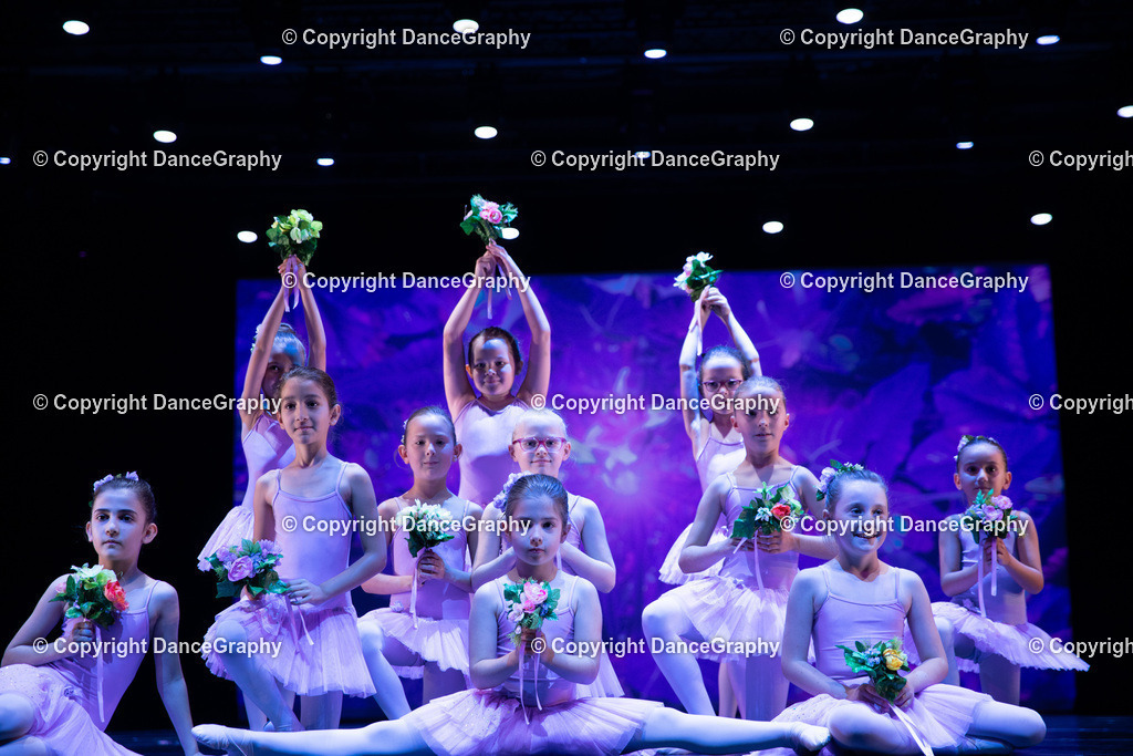 GPHY4897 | DanceGraphy - Realisiert mit Pictrs.com