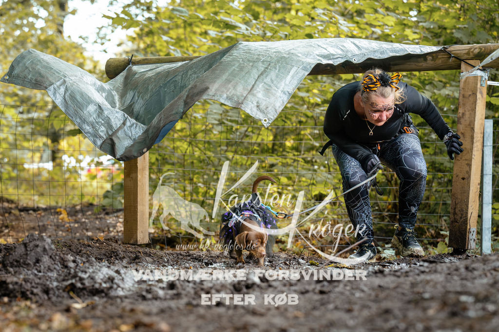 1422DZ6_1714Z6 | kk-dogfotos