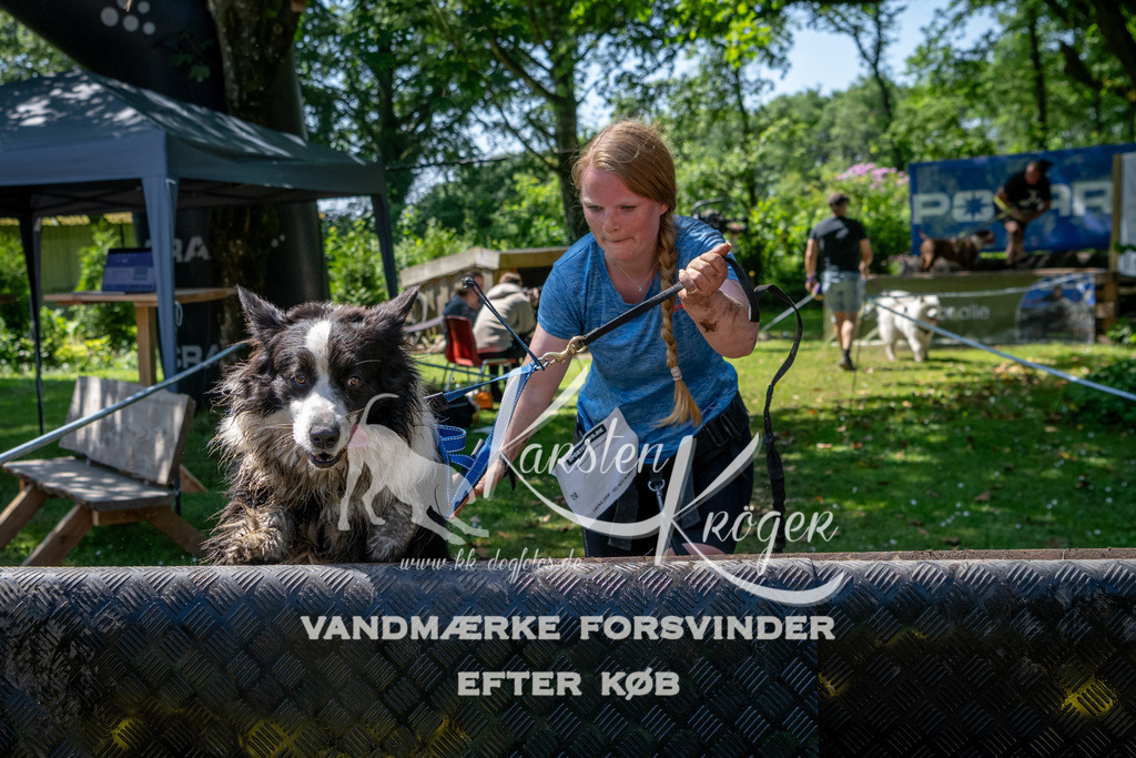 1245_ZZ92131 | kk-dogfotos