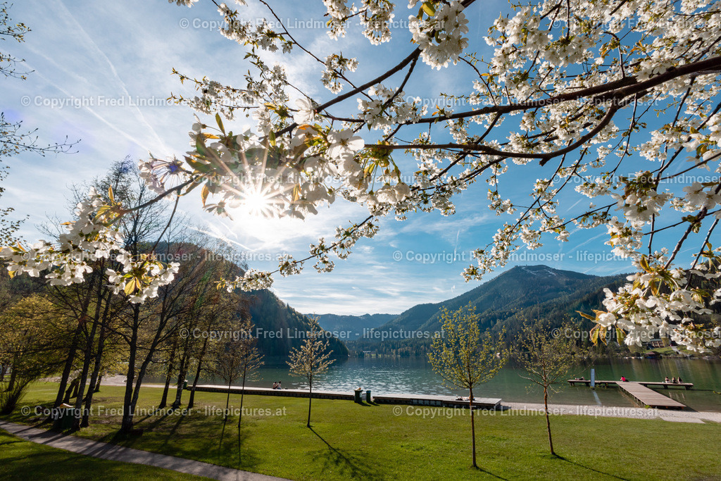 Erlaufsee 110502022-7324 | Fotos und Fotoprodukte - Realisiert mit Pictrs.com