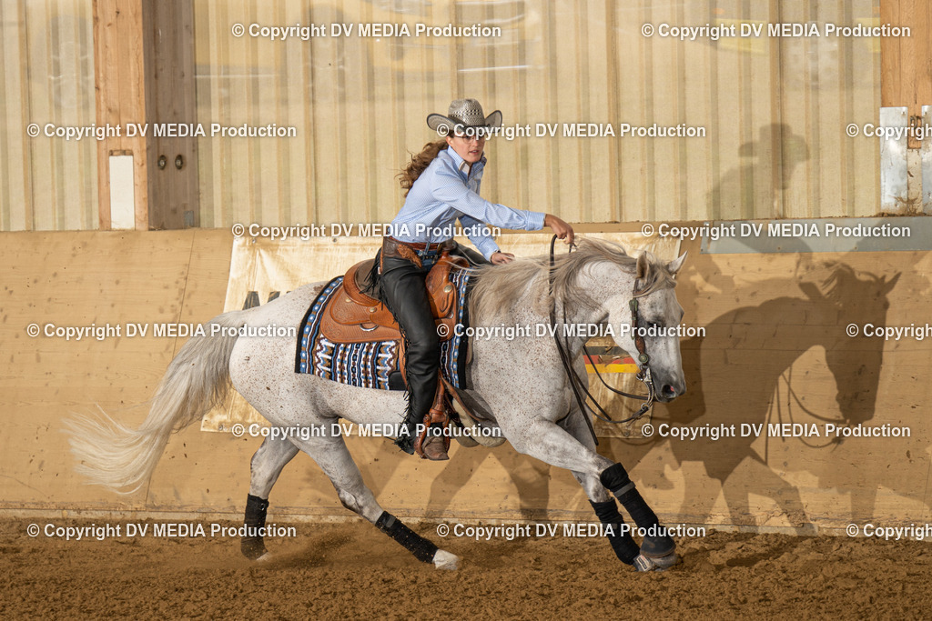 LAU00951 | dv-media-shop - Realisiert mit Pictrs.com