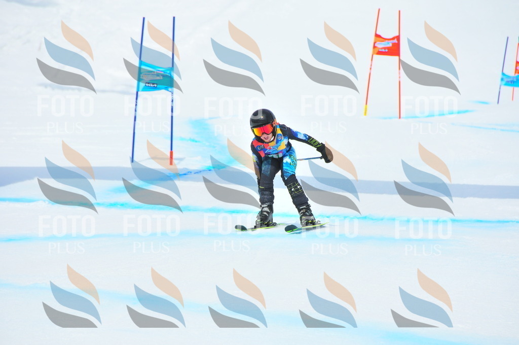 DSC_1936 | holidayphoto