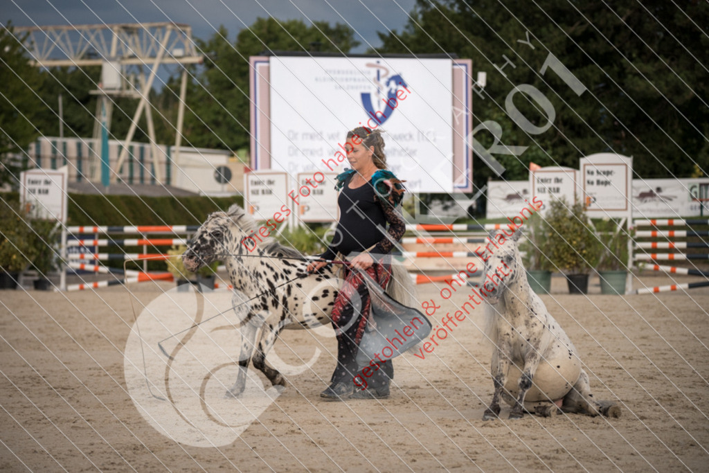 DSC_0027 | Sport-, Event- und Tierfotos in Profiqualität. Einfach auswählen, bestellen und herunterladen. Dein Moment – perfekt festgehalten.
