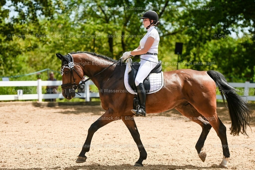 20230715_05_Dressurprüfung Kl.A++_0426 | equistock