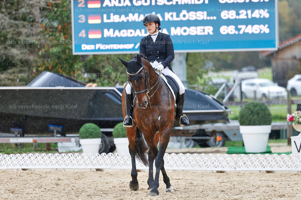 8_1-206-Klasse S_  -StoibPH-3918 | working equitationturnier fotograf videograf stoibphotography marixx film working equitation deutschland reitsport turnierfotografie eventfotografie equestrian events