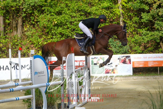 DKP42482 | Turniersportfotografie; Pferdefotografie; Dressurfotografie