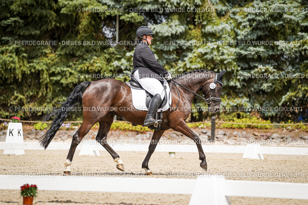 DSC02646 | Pferdegrafie