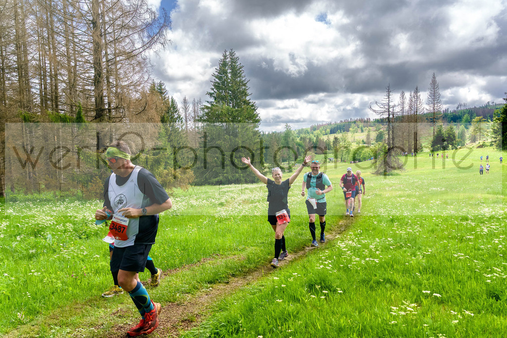 Rennsteiglauf Marathon 2024 | 25. Mai 2024 - 42,2 km von Neuhaus nach Schmiedefeld