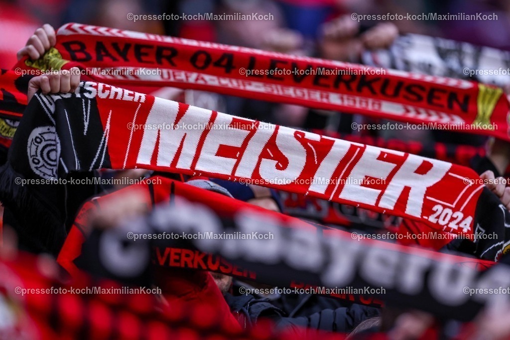 UCL29012502128 | 29.01.2025, Fußball, Bayer 04 Leverkusen - AC Sparta Prag, UEFA Champions League, 8. Spieltag, BayArena, Saison 2024 2025: Fanschal Bayernfan Meister Meisterschaft Meisterschal