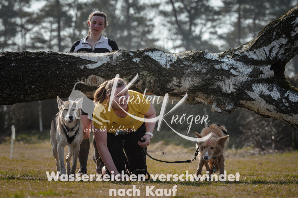 1129_ZZ95352 | kk-dogfotos