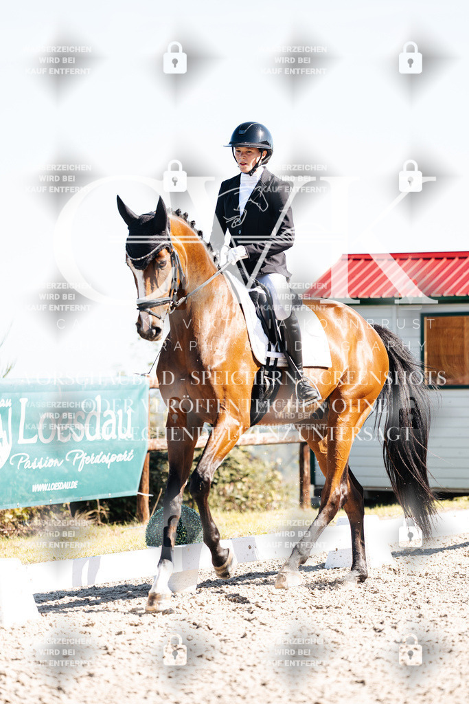 CK908646 | Turnierfotografie Pferdefotografie Trier Rheinland-Pfalz Pferdesport Reitsport Tierfotografie Sportfotografie Pferdevideo Pferdevideografie Equestrianvideography equestrianphotography  - Realisiert mit Pictrs.com