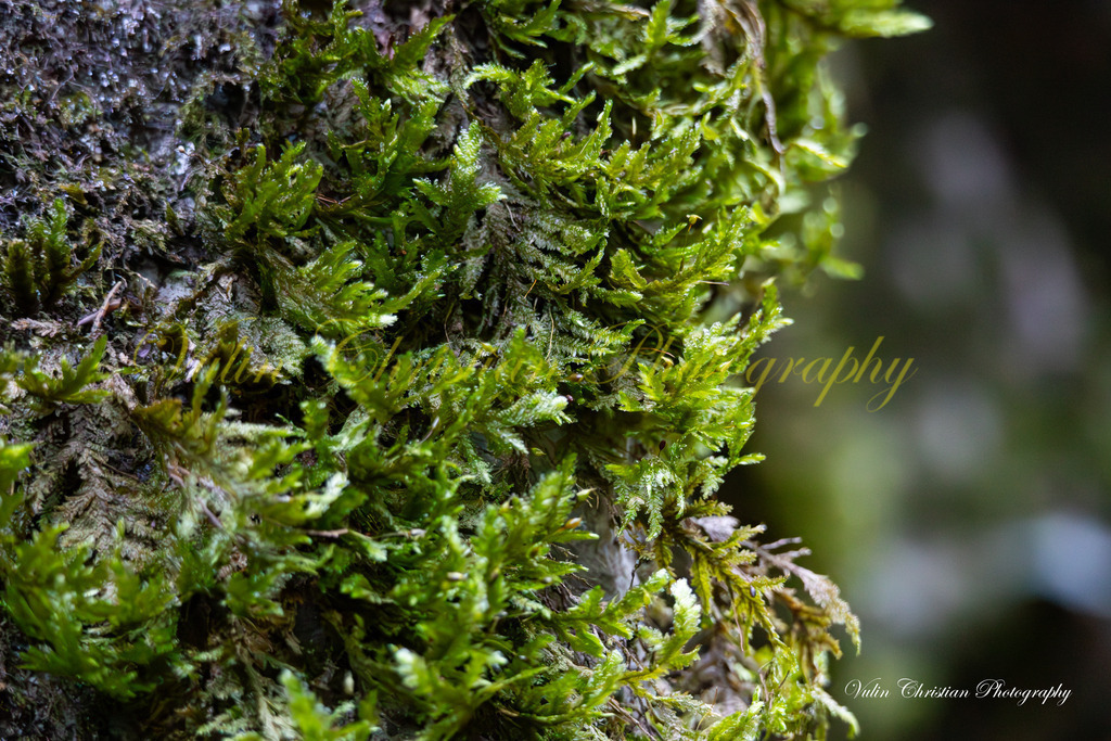 JBK 11 | Christian Vulin  - Realisiert mit Pictrs.com