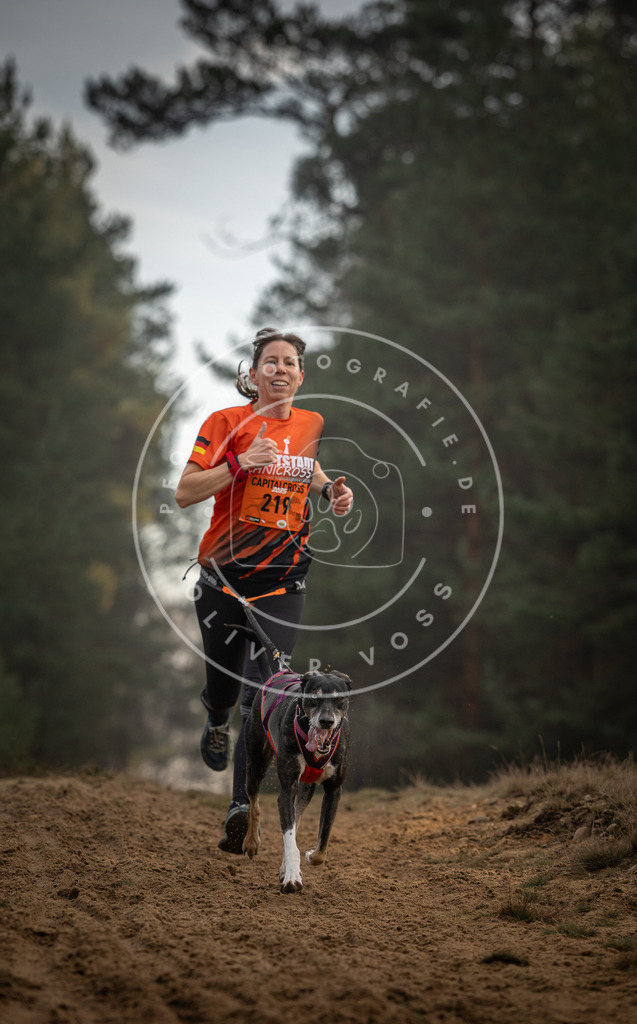 Pfotenfotografie_DV3A5340 | Hundefotografie, Tierfotograf, Pfotenfotografie, Fotoshooting Hund, Hunde Portrait, Hundesport, Hundeportraits, Heideshooting, Hunde, Sportfotograf, Hundefotograf, Turnierhundsport, THS,  - Realisiert mit Pictrs.com