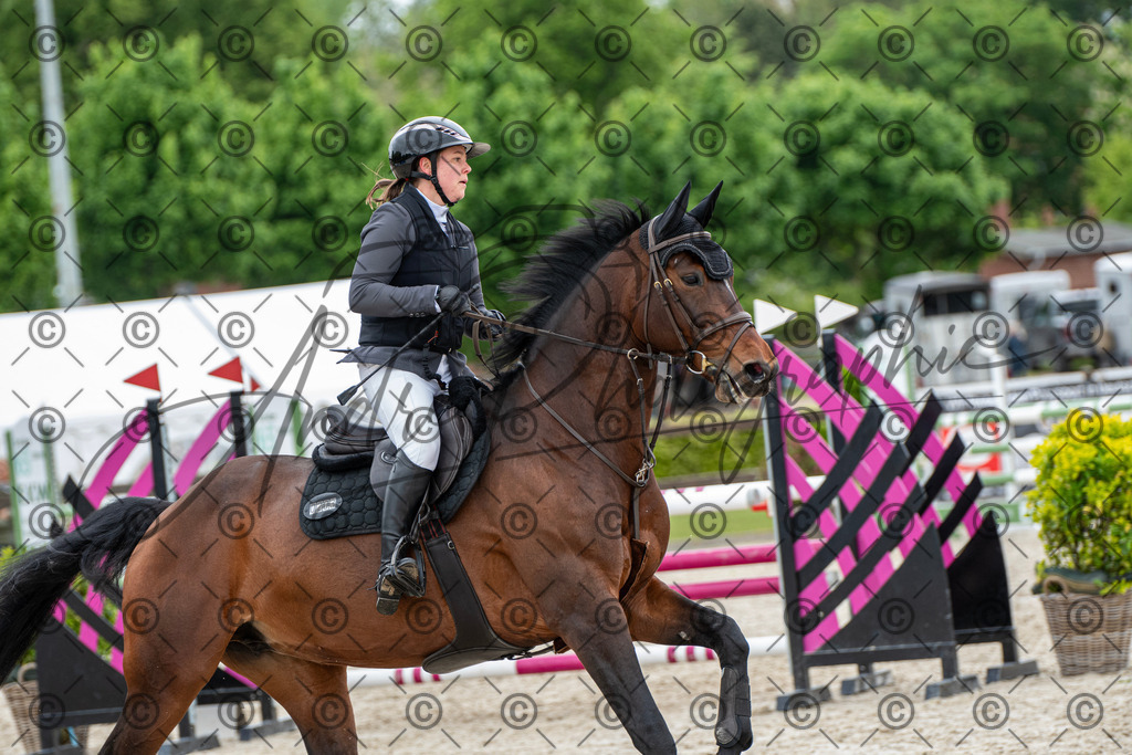 KPT_8731 | andre_photographic