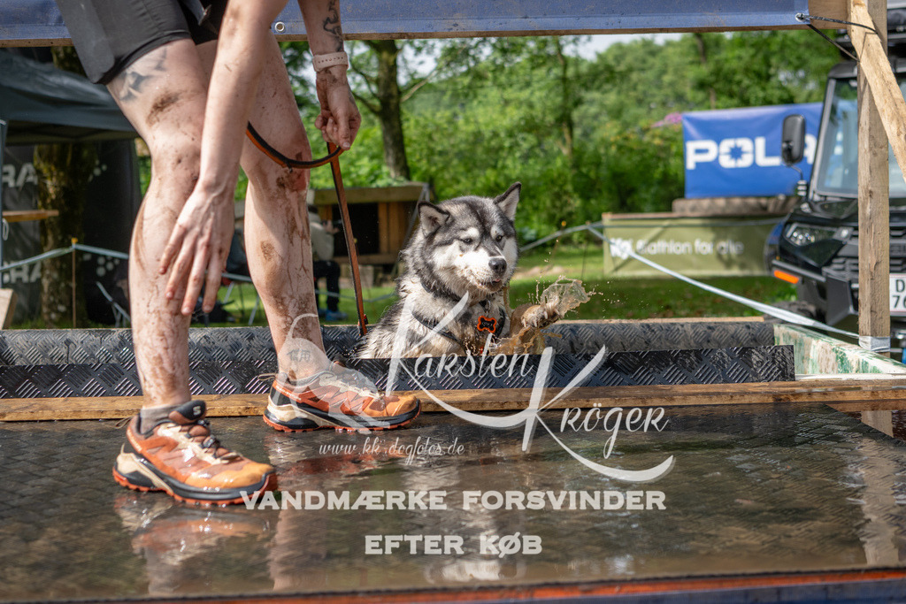 1008_ZZ94236 | kk-dogfotos