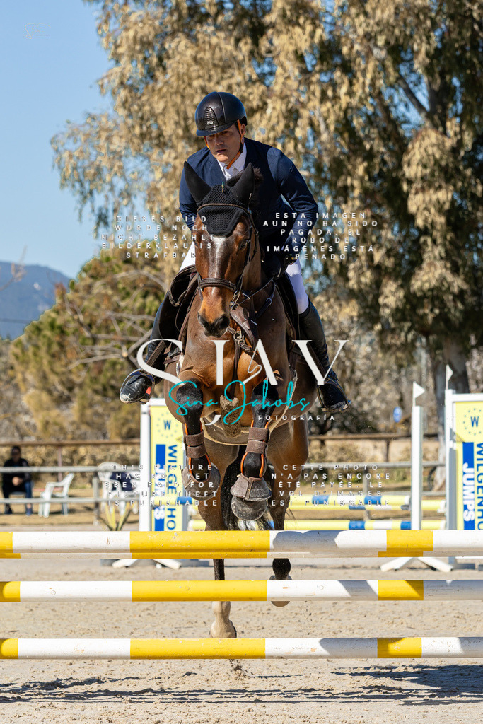 IMG_9135 | s-jay-photography - Realisiert mit Pictrs.com