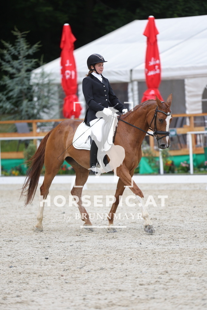 0P6A3637 | Willkommen bei Brunnmayr - Design & Fotografie – Ihrem Spezialisten für Reitturniere und Pferdeveranstaltungen in Oberösterreich, Salzburg und Bayern! Seit über 17 Jahren sind wir leidenschaftlich dabei.