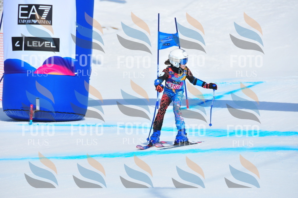 DSC_5147 | holidayphoto