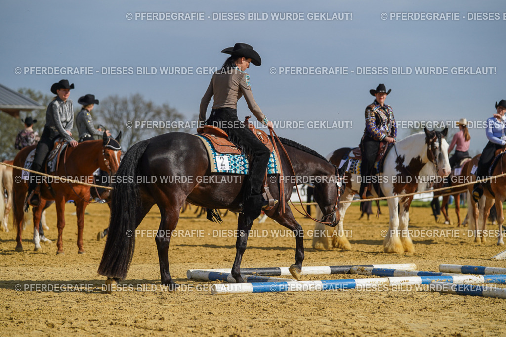 DSC01304 | Pferdegrafie