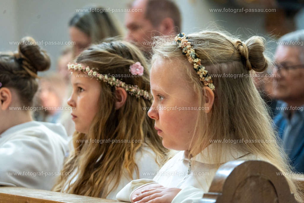 A7V02796 | Hier finden Sie die Online Foto-Galerie von fotograf-passau.com und marius-handrugan.de. Suchen Sie sich direkt Ihre Lieblingsbilder aus, ob als Ausdruck oder Download. - Realisiert mit Pictrs.com