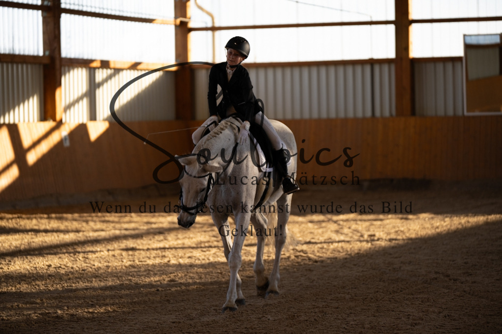 A7V01579 | Turnier/Reitfotograf