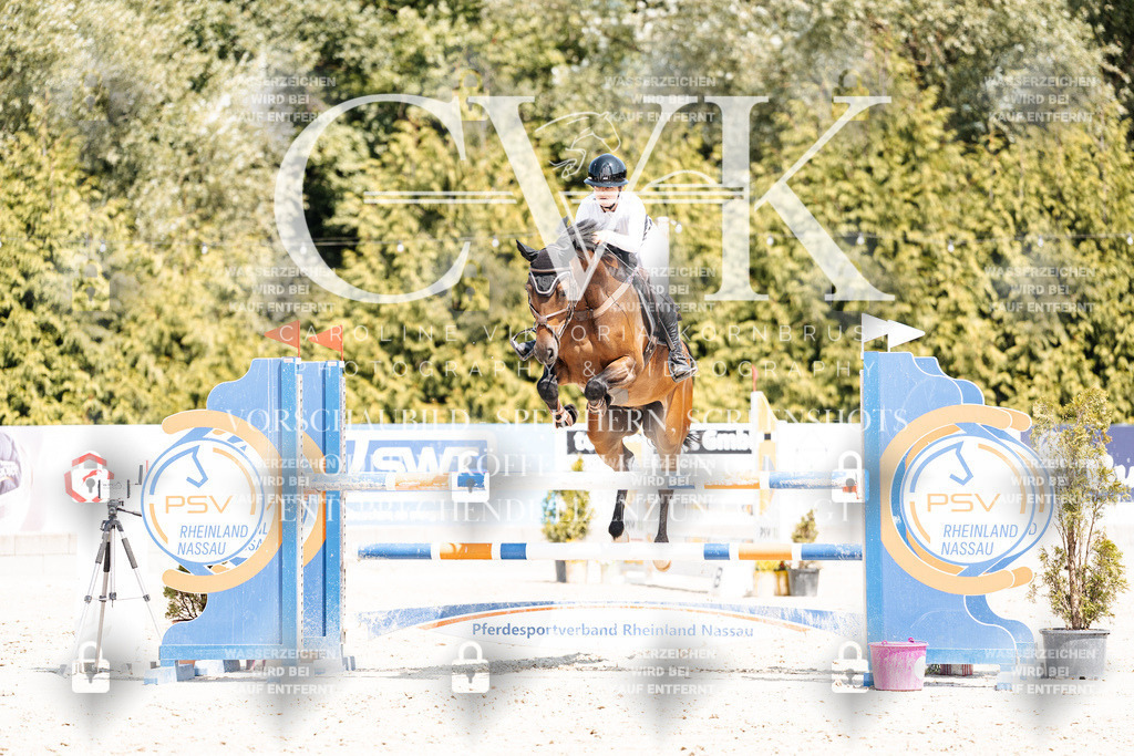 CK901012 | Turnierfotografie Pferdefotografie Trier Rheinland-Pfalz Pferdesport Reitsport Tierfotografie Sportfotografie Pferdevideo Pferdevideografie Equestrianvideography equestrianphotography  - Realisiert mit Pictrs.com