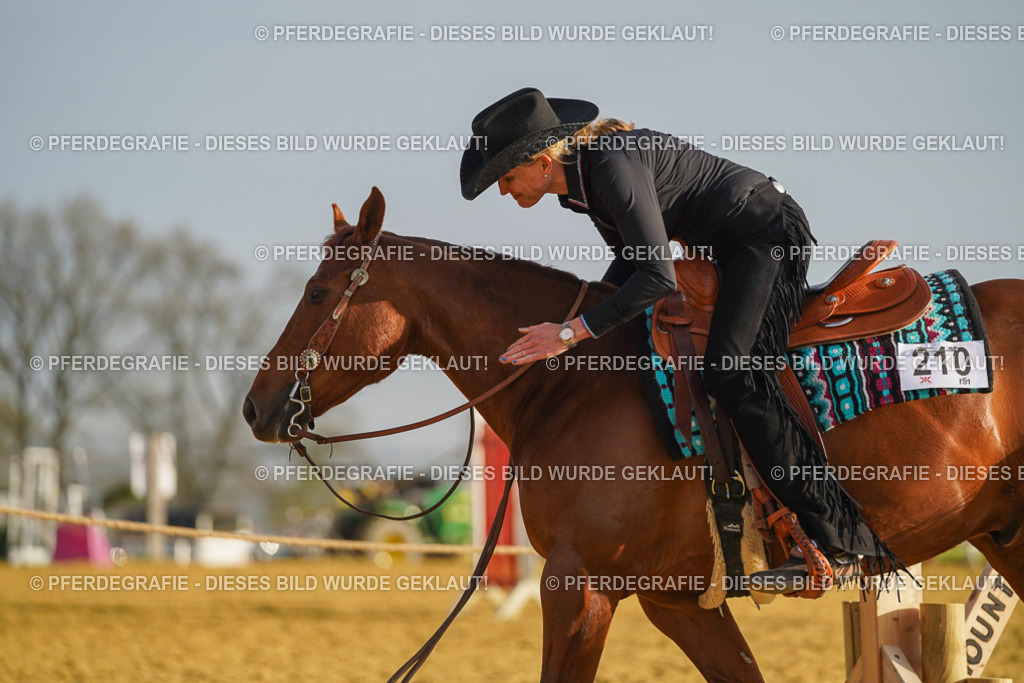 DSC00170 | Pferdegrafie