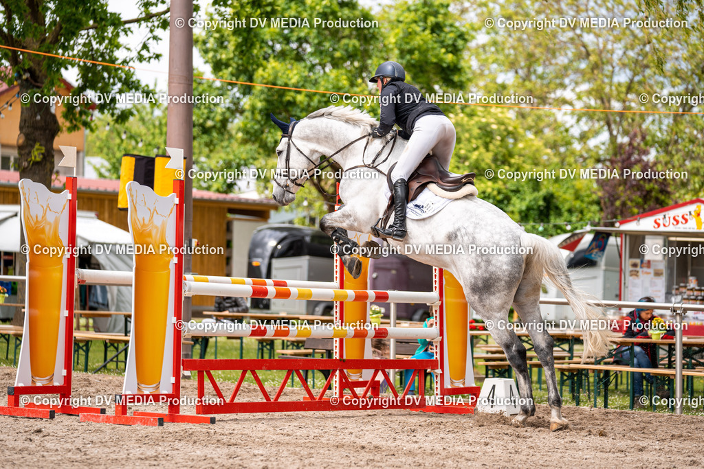 Eppelheim Tag 1-187 | dv-media-shop - Realisiert mit Pictrs.com