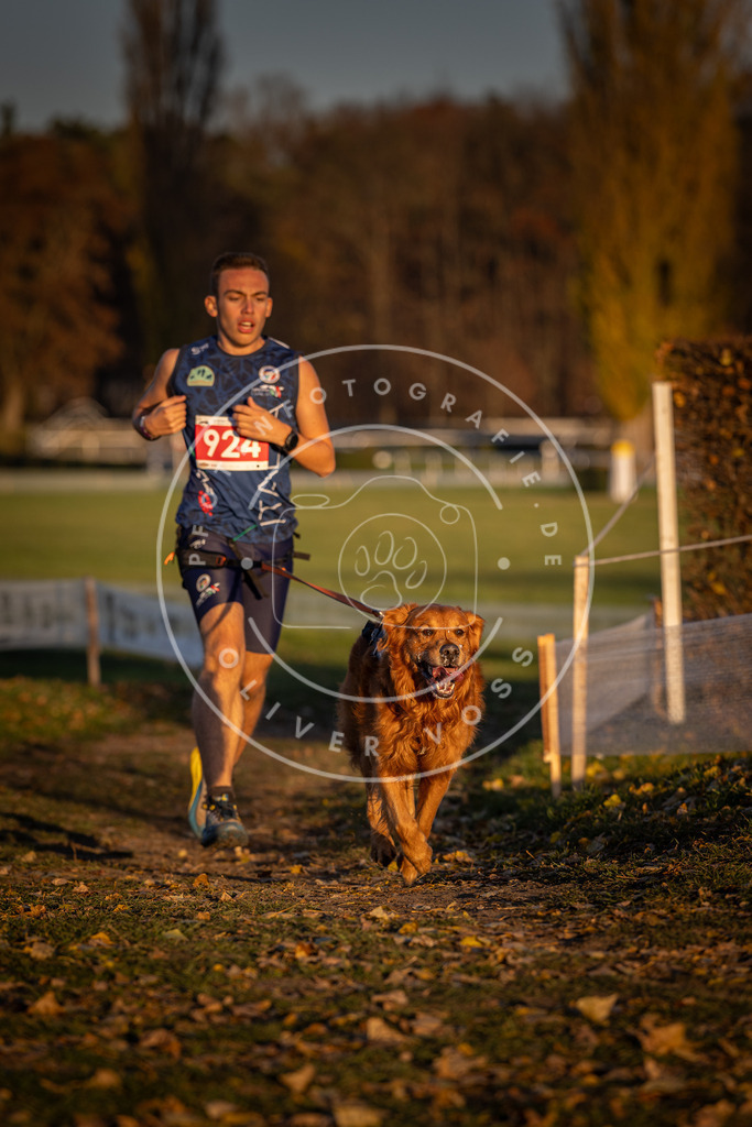 CaniXpix_DV3A4999 | Hundefotografie, Tierfotograf, Pfotenfotografie, Fotoshooting Hund, Hunde Portrait, Hundesport, Hundeportraits, Heideshooting, Hunde, Sportfotograf, Hundefotograf, Turnierhundsport, THS,  - Realisiert mit Pictrs.com