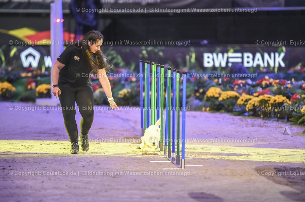 20231115_Dog-Agility_0079_TOMsPiC | Foto: Thomas Hartig