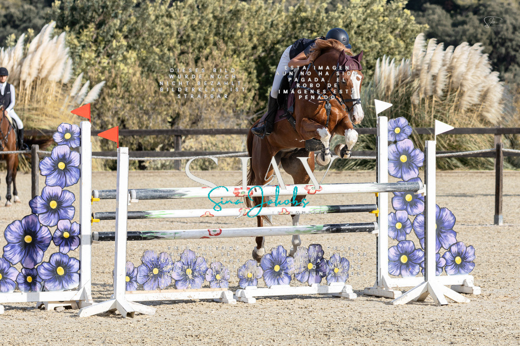 IMG_0194 | s-jay-photography - Realisiert mit Pictrs.com