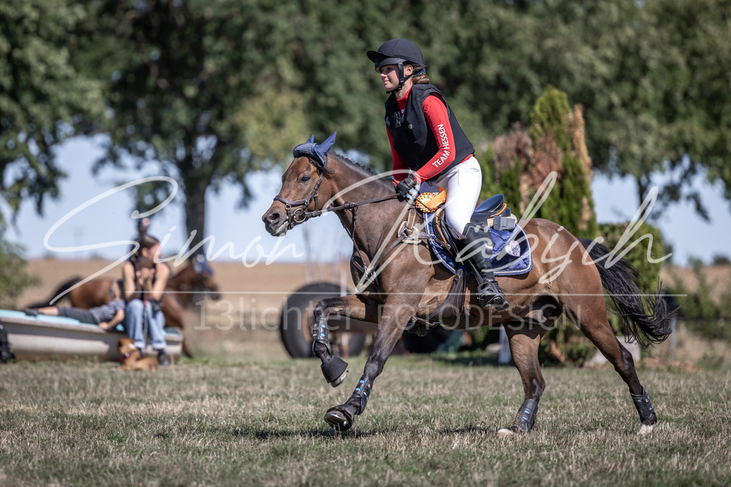 20260906-_3LI4814 | Tierfotografie Pferde, Hunde, Katzen, Haustiere.
Turnierfotografie Reitturniere, Reiten, Springreiten, Dressur in Hanau, dem Main-Kinzig-Kreis und dem Rhein-Main- Gebiet um Frankfurt