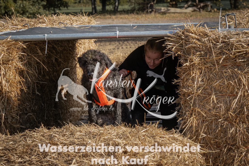 1051_ZZ99422 | kk-dogfotos