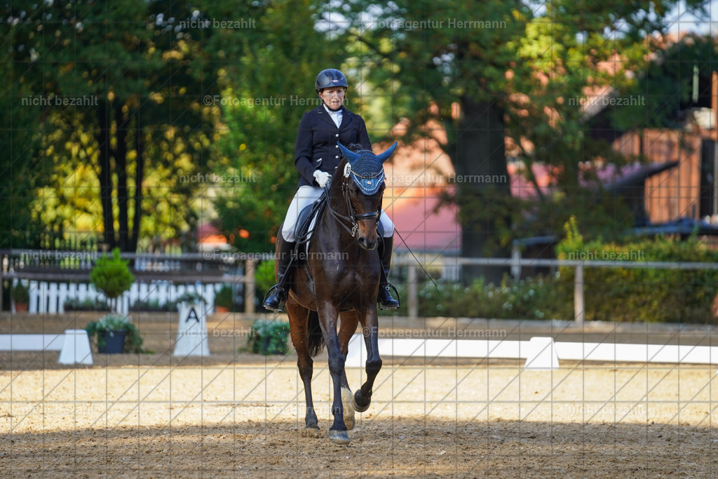 20221007-FAH00167 | Diessen am Ammersee, 2022, Dressur- und Springturnier, Reitsportbilder, Turnierfotografen Bayern, Pferdefotografen, Fotoagentur Herrmann, Turnierbilder