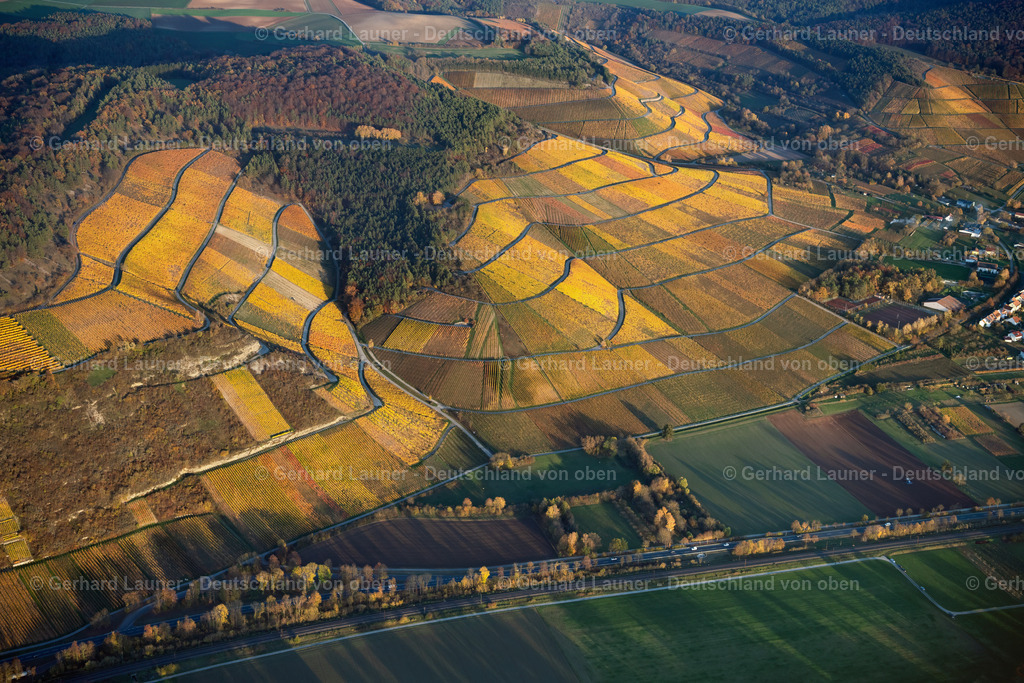 4042965 | Weinberge am Tiertalberg, Zellingen