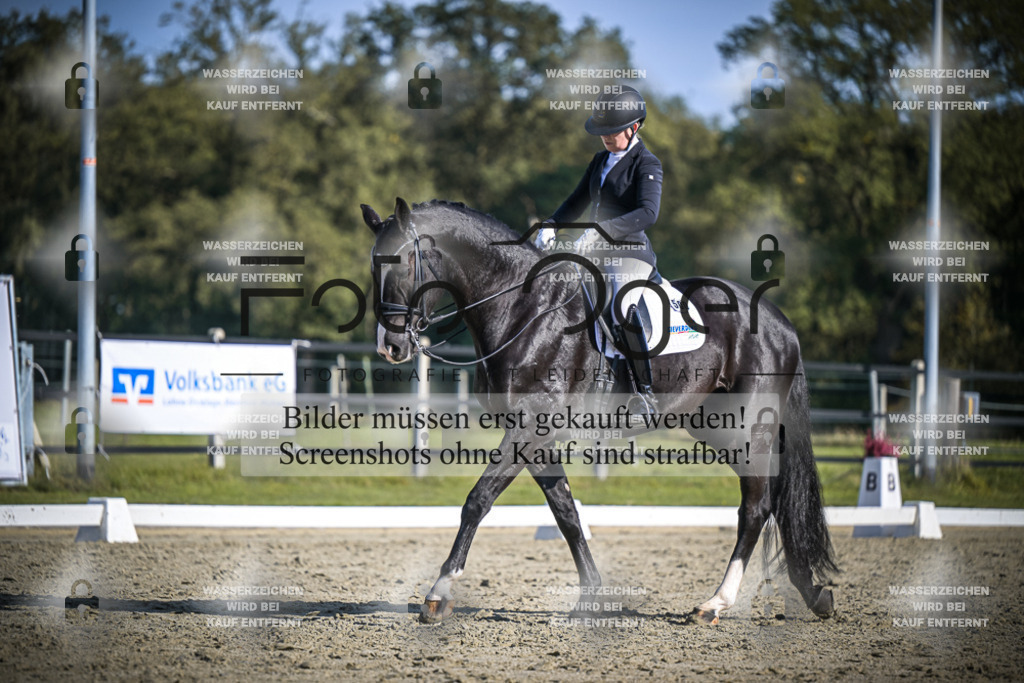 DOS_3099 | Entdecke hochwertige Reitturnierfotos von Foto Oger. Professionell, emotional und authentisch – jetzt Lieblingsmomente im Shop bestellen.Deutschlandweite Turnierfotografie. - Realisiert mit Pictrs.com