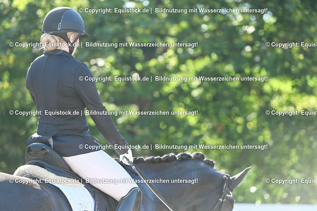 20230715_06_Dressurpferdeprfg. Kl.A_0090 | equistock