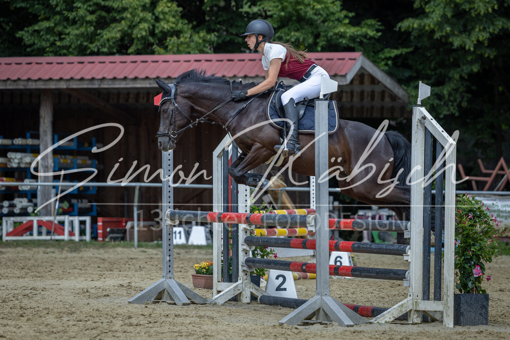 20260704-_3LI0781 | Tierfotografie Pferde, Hunde, Katzen, Haustiere.
Turnierfotografie Reitturniere, Reiten, Springreiten, Dressur in Hanau, dem Main-Kinzig-Kreis und dem Rhein-Main- Gebiet um Frankfurt